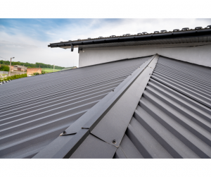 Toiture bac acier Haguenau