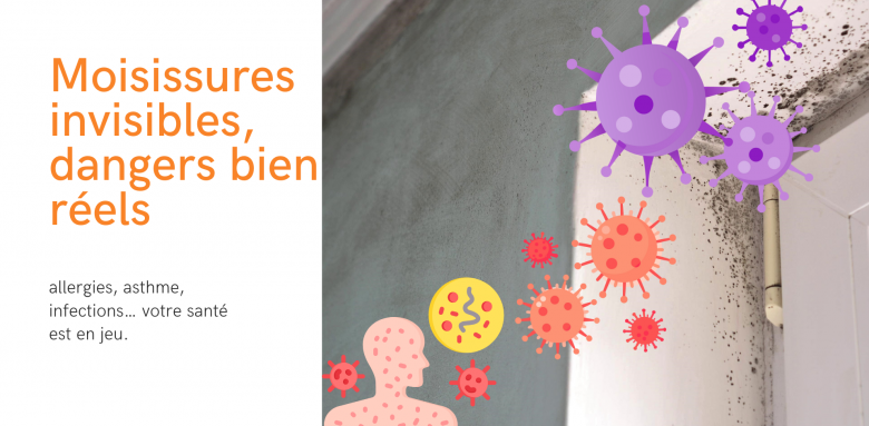  Moisissures invisibles, dangers bien réels : protégez votre santé avec une ventilation adaptée.
