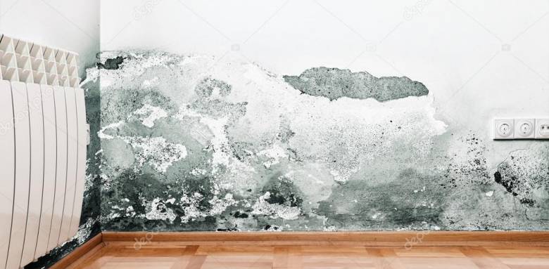 Moisissure des murs d'une maison