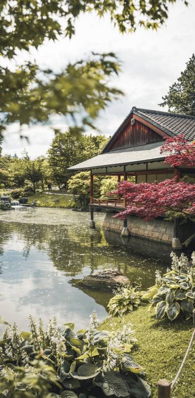 jardin japonais
