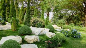 Oasis verte Saint-Quentin 