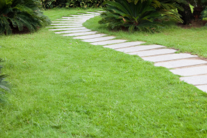 Allée de jardin Nantes Nord