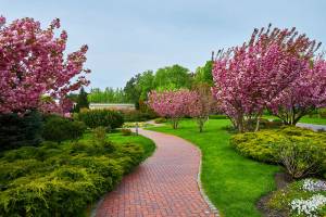 Allée de jardin