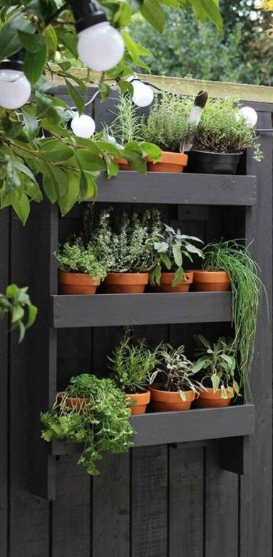 Aménagement d'un potager sur sa terrasse ou son balcon