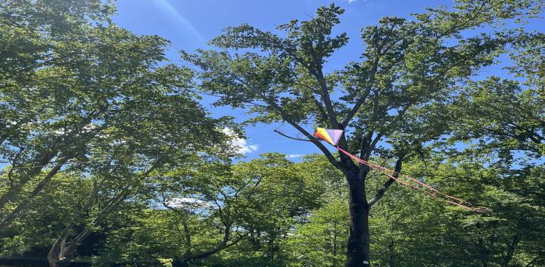 climatisation végétale