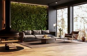 Installer un mur végétal à la maison