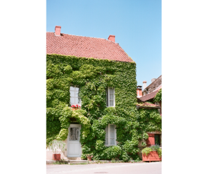 Façade végétalisée Haguenau
