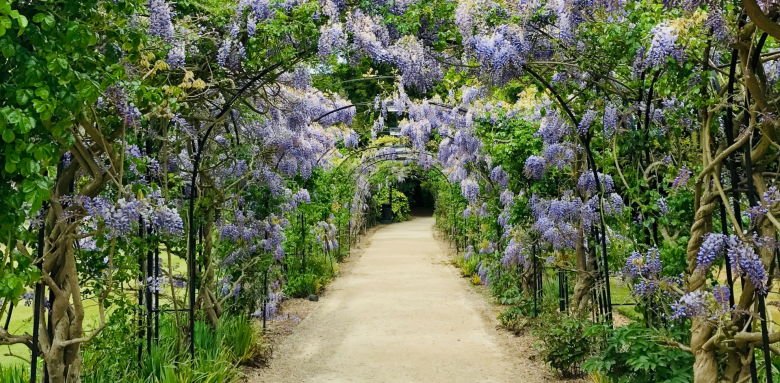 allée-de-jardin-fleuri