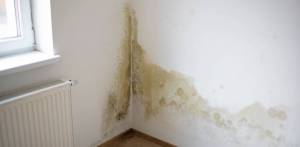 Humidité