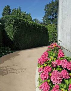 Comment créer et aménager son allée de jardin ? Allée de jardin en bois, goudronnée ou en graviers ?