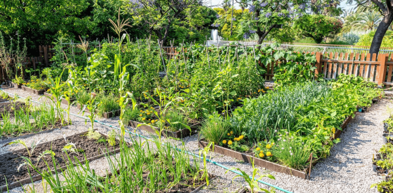Entretien et nettoyage jardin printemps