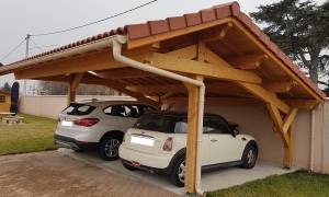 carport double emplacement structure bois adossé au mur
