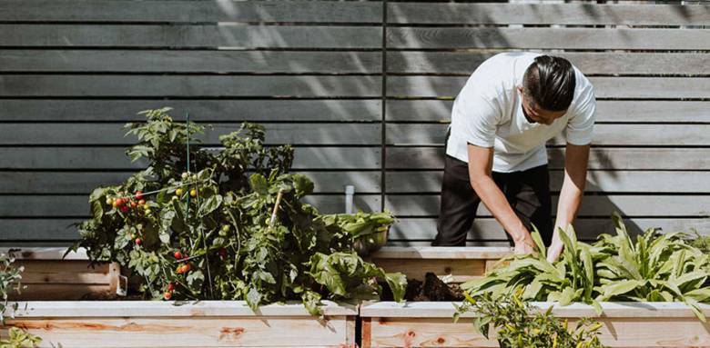potager sur balcon