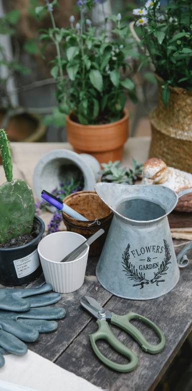 Serre de jardin rénovation 