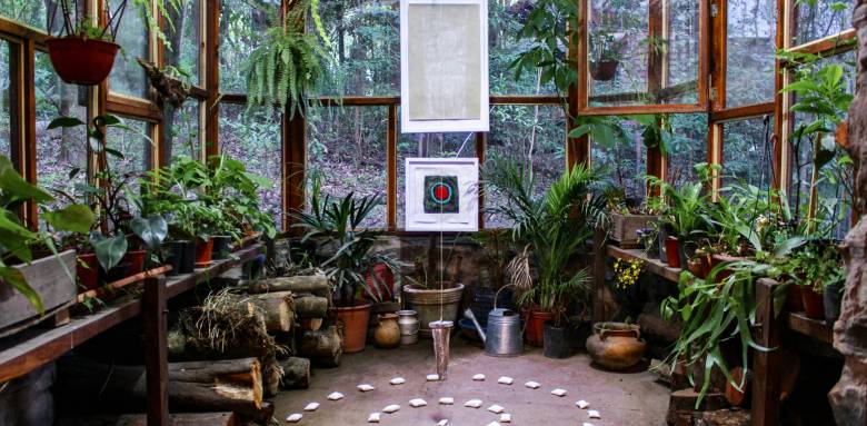 Jardin d'hiver avec beaucoup de végétaux