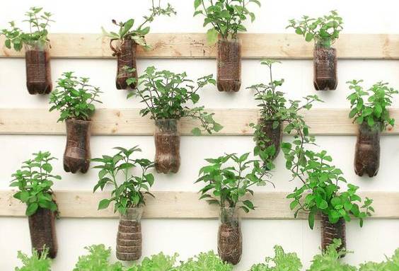 Idées de jardin suspendu pour balcon