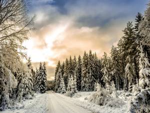 5 travaux à faire avant l’hiver pour éviter les mauvaises surprises dans sa maison individuelle à Muret