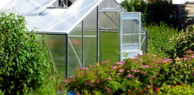 Comment rénover une serre de jardin ?