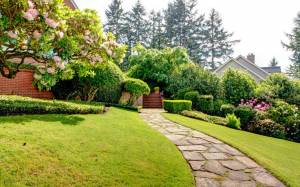 allée entrée maison