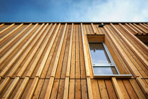 Extension bois avec baies vitrées 