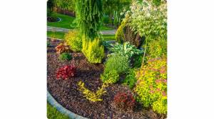 Printemps : quels travaux lancer en priorité pour bien rénover son logement ? - Caumont-sur-Aure 14240