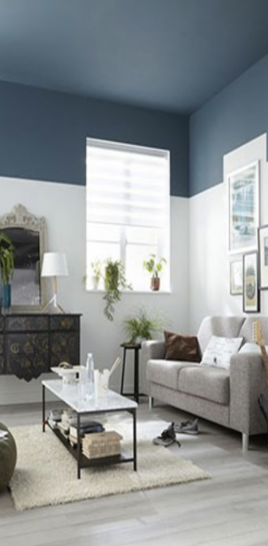 un plafond qui casse l'effet de hauteur et qui donne du caractère (Pinterest)