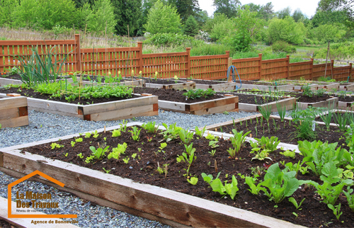 potager en bacs