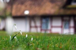 Travaux de Printemps 
