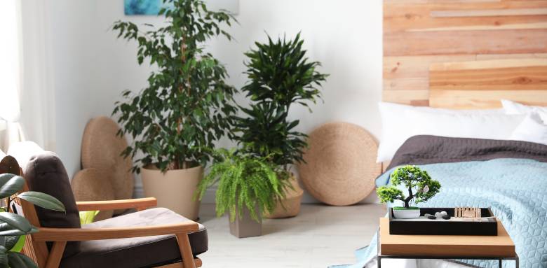 chambre feng shui