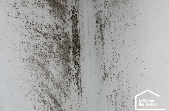 Murs humides et moisis