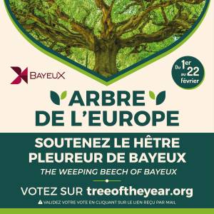 l'Arbre européen de l'année 2024