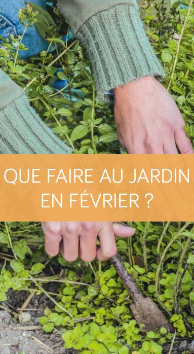 Que faire au jardin en février ? La Maison des Travaux Vannes Sarzeau Pénestin