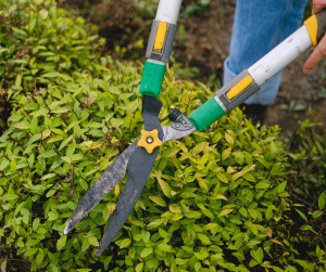 Taille de haie - poseur de terrasse 77, terrassier 77, façadier 77, architecte 77, bureau d’étude 77, maçon 77, paysagiste 77, charpentier 77, métallier 77, étanchéiste 77, dessinateur 77