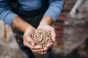 Chaudière à pellets : avantages et inconvénients