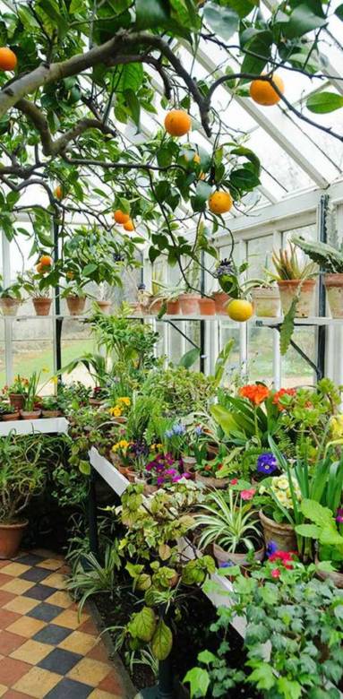 installer une serre de jardin 