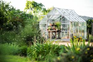 Serre de jardin en verre - Rochefort 17
