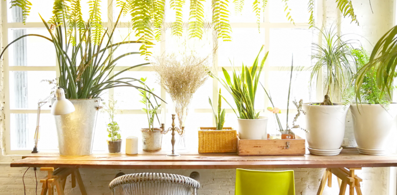 jardin hiver la maison des travaux orléans nord 