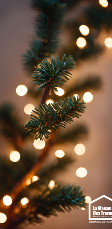 guirlande lumineuse branche sapin