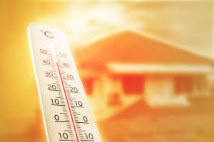 Se protéger de la canicule à Montgeron
