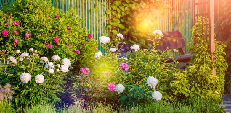 Rénovation de jardin