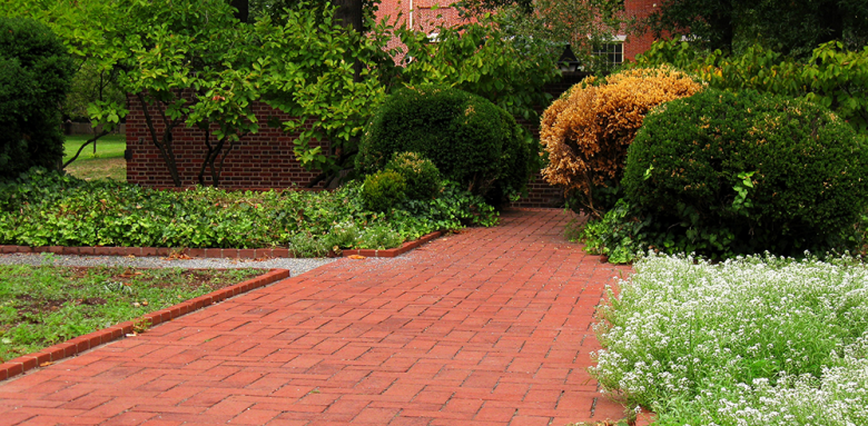 Quel matériau choisir pour votre allée de jardin ? 