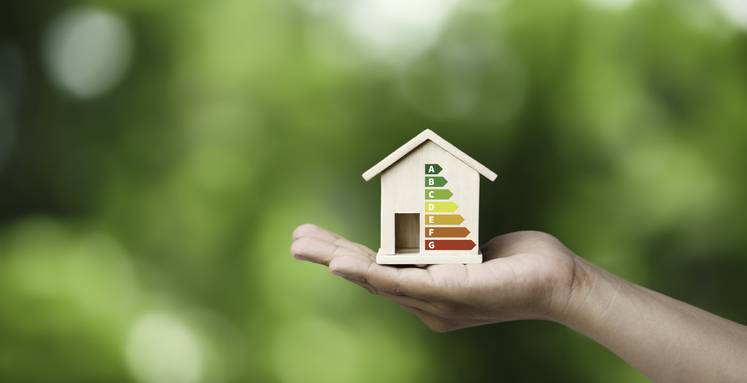 fibre de bois, chanvre, ouate de cellulose, quel intérêt environnemental pour les biosourcés ?
