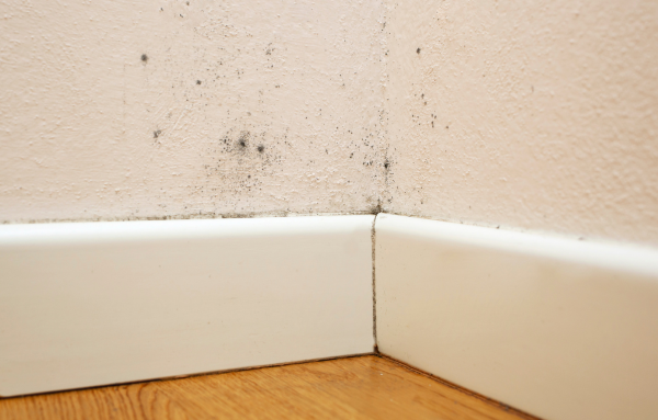 Traiter humidité chambre Nantes