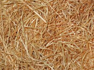Laine de bois pour écorénovation 