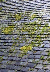 Toiture en ardoises naturelles couverte de mousses - Bouc-Bel-Air-13