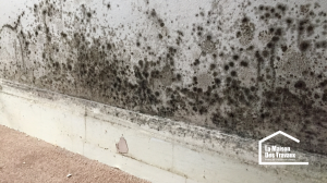 Traitement mur humide Strasbourg - Rénovation intérieure