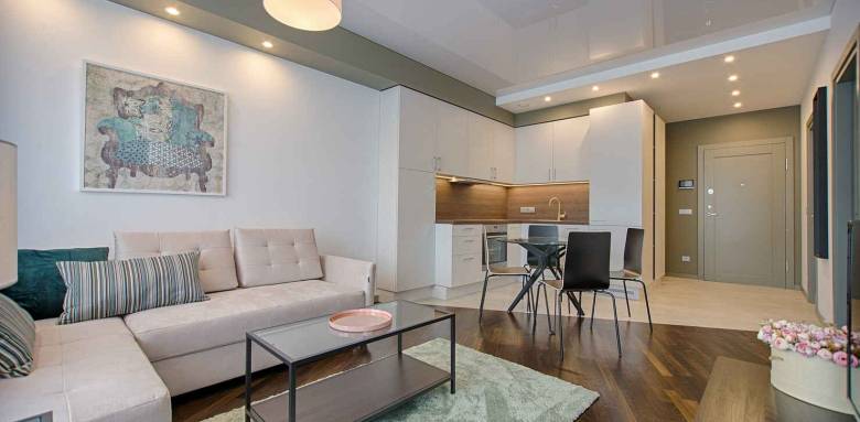 Grand studio avec cuisine ouverte - Paris