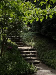 Ces jolis escaliers donnent du charme au jardin et permettent d'accéder au niveau supérieur