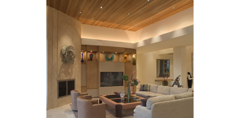 Salon avec un faux plafond en bois Lyon