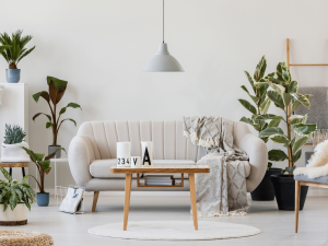 decoration interieure